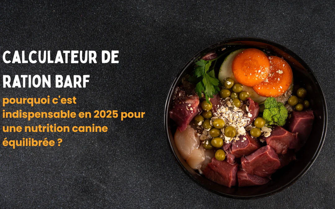 Calculateur de ration BARF : pourquoi c’est indispensable en 2025 pour une nutrition canine équilibrée Image