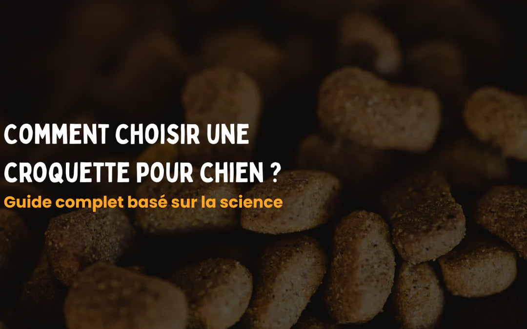 Comment choisir une croquette pour chien ? Guide complet basé sur la science Image
