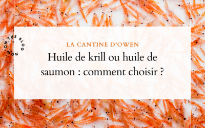 Huile de krill ou huile de saumon : comment choisir ?