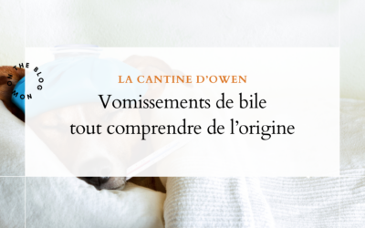 Vomissements de bile : tout comprendre de l&rsquo;origine