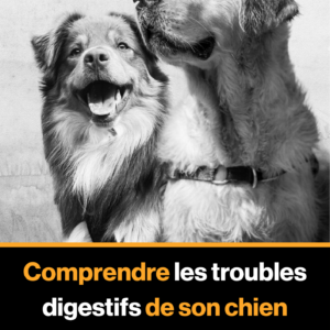 Comprendre les troubles digestifs de votre chien (Ebook)