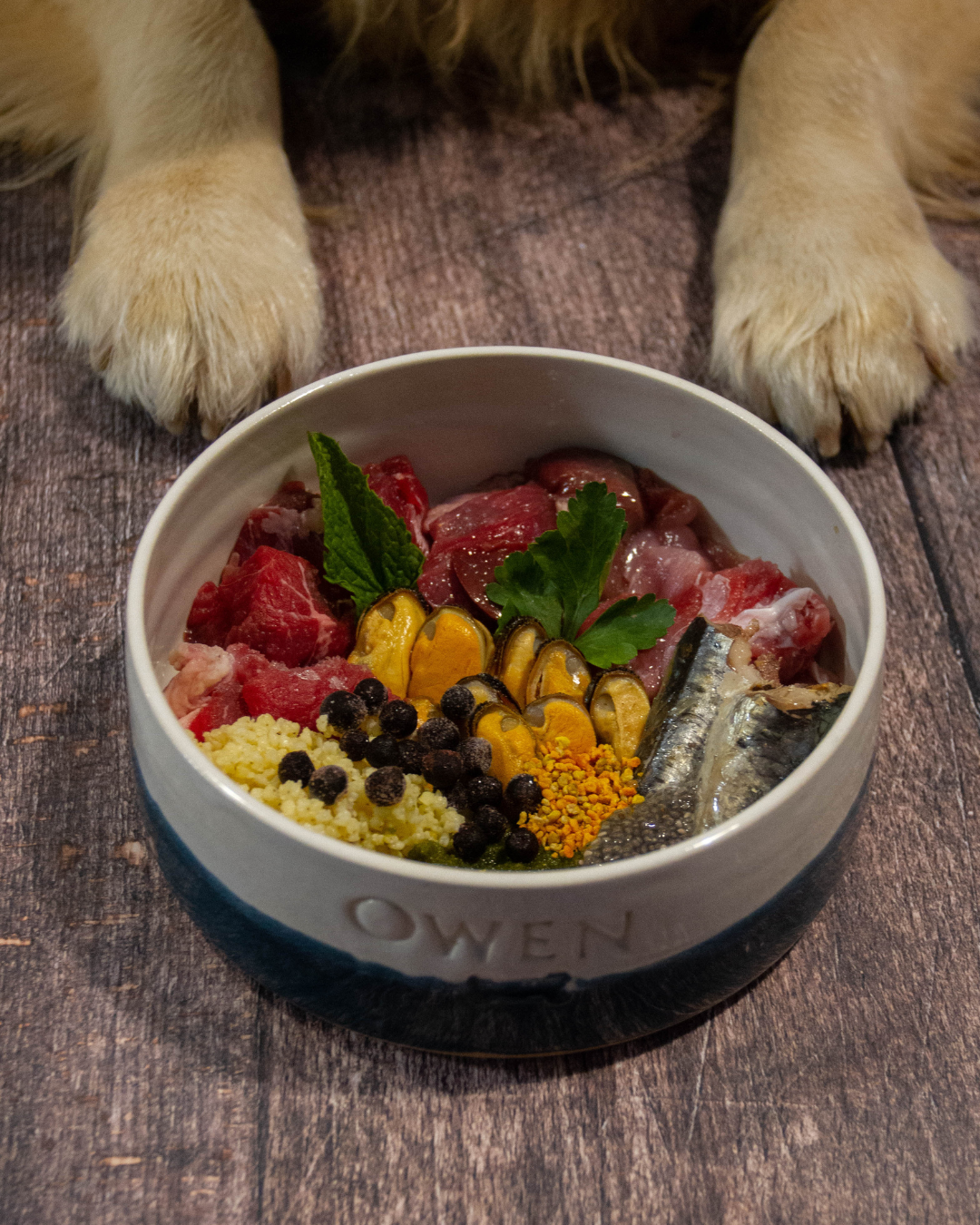 Consultation nutritionniste canin - La Cantine d'Owen